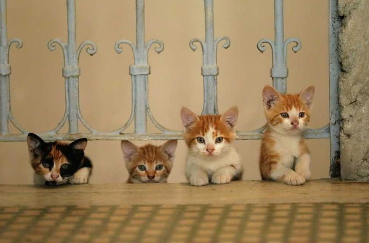 스크린샷 2024-11-29 22.53.37.png