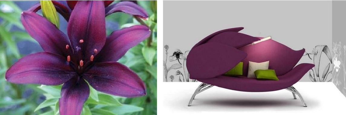 lotus chair.png