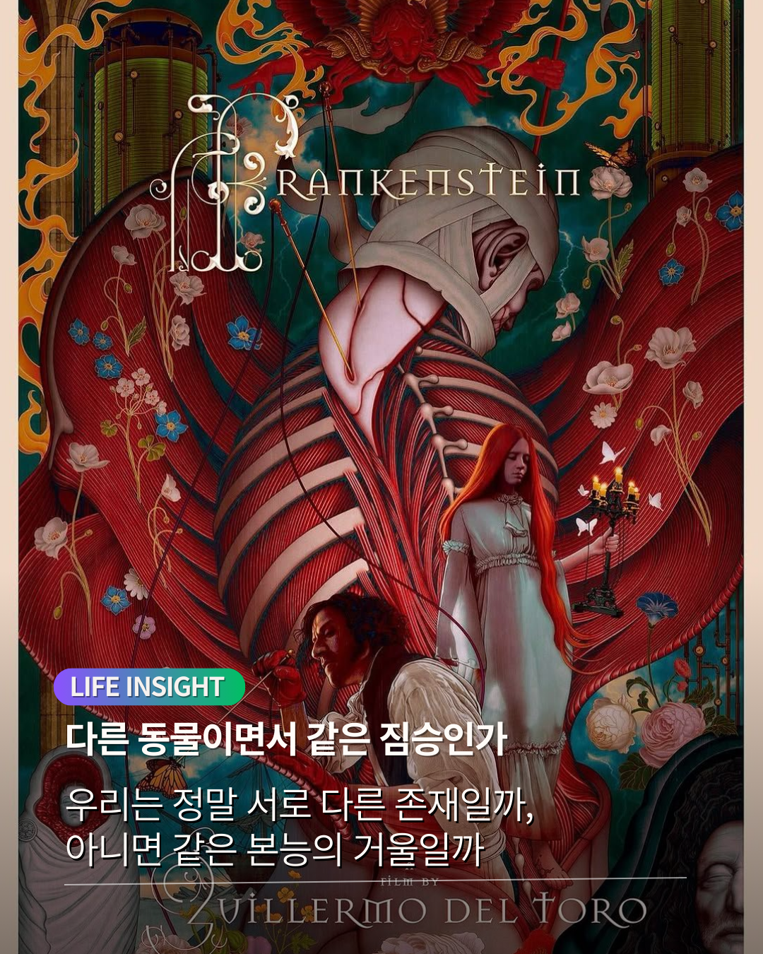 동물 과 짐승.png