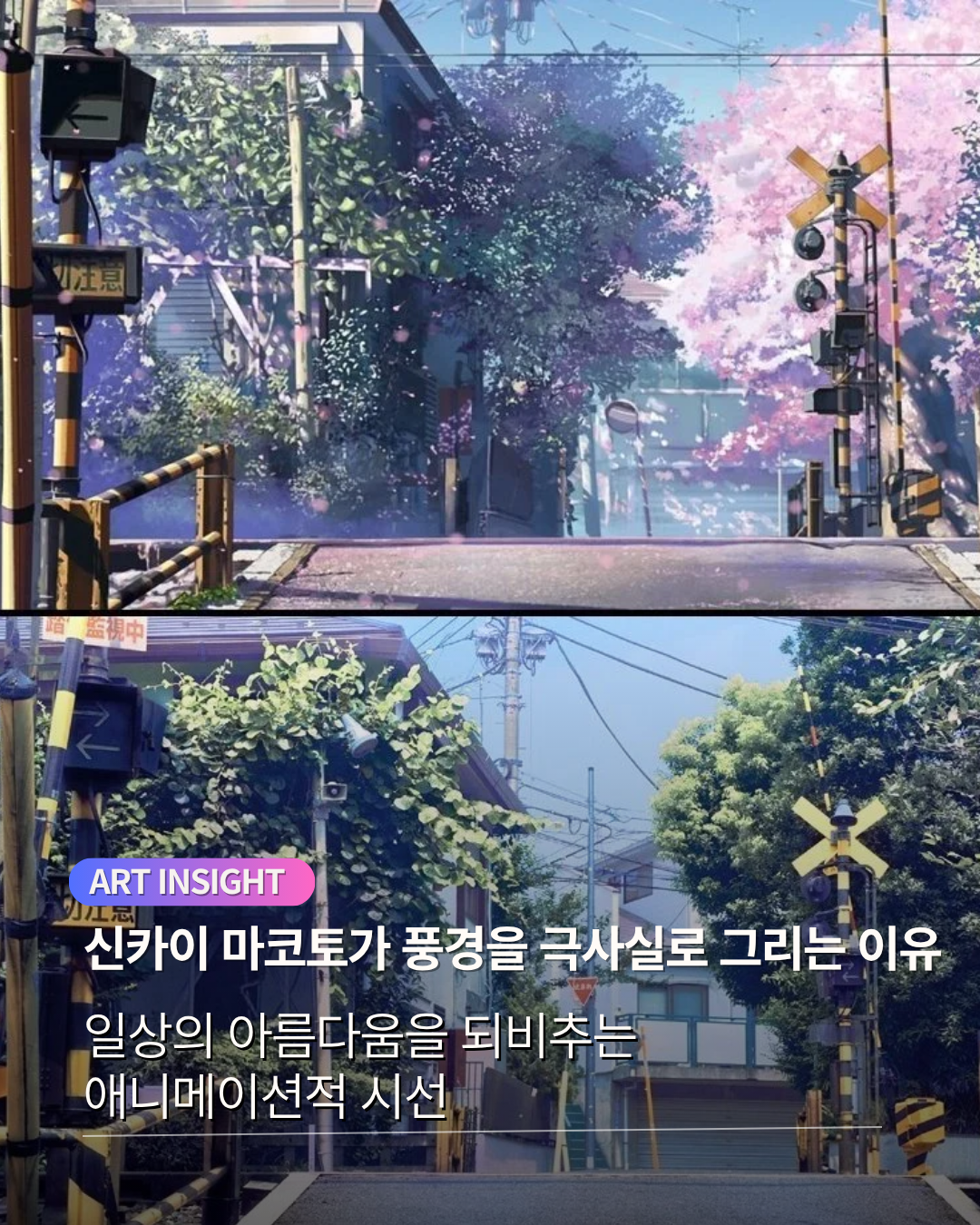 신카이마코토.png