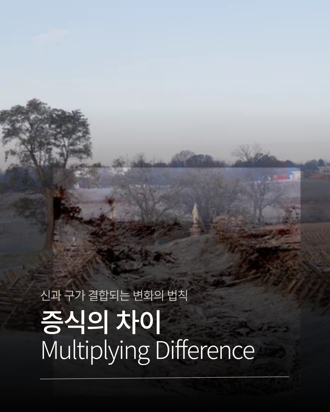 증식의 차이.png