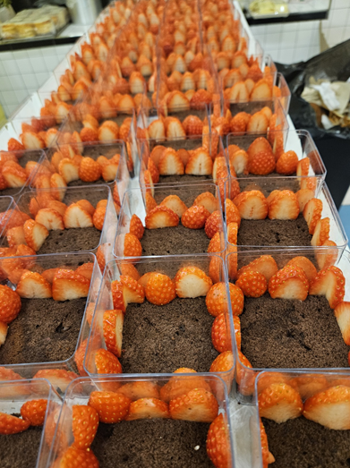 딸기 단체사진 2026-01-19 095649.png