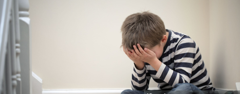 스크린샷 2024-11-11 124151.png