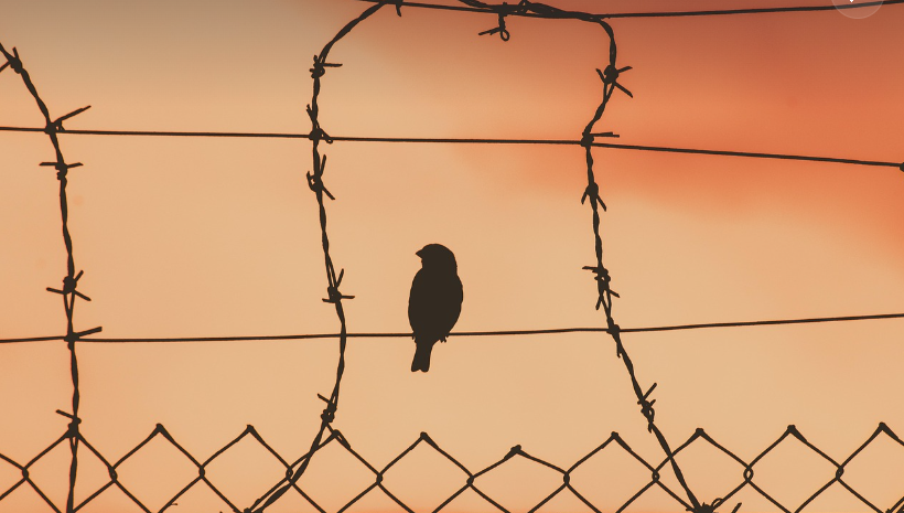 스크린샷 2025-03-15 213123.png