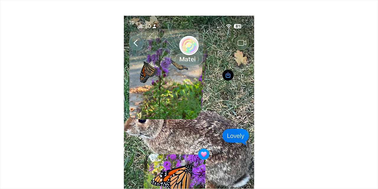 Frame 1422235517.png