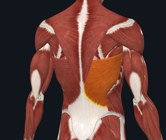 스크린샷 2024-01-25 150525.png