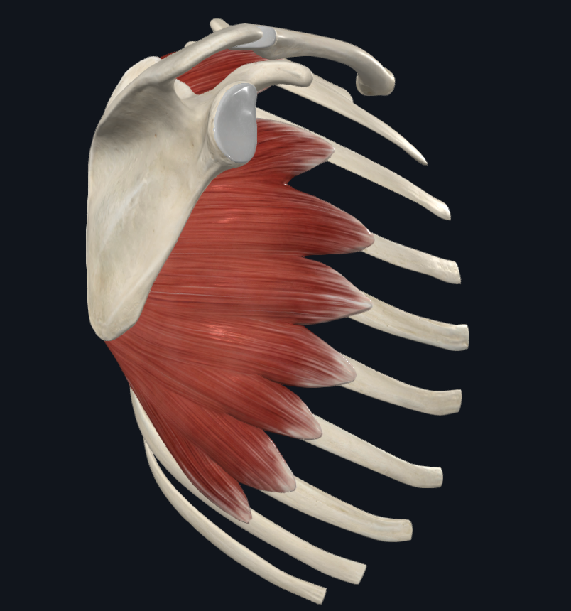스크린샷 2024-01-25 150716.png