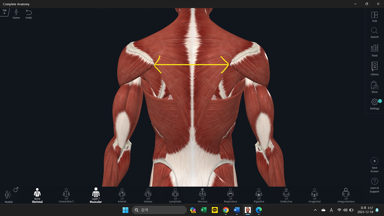 스크린샷 2023-12-18 155734.png