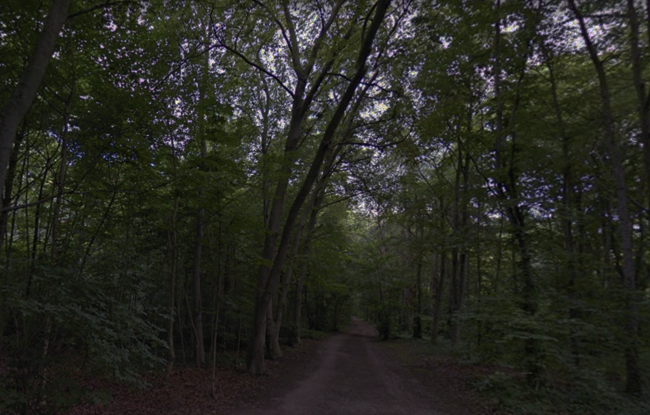 스크린샷 2021-11-30 오후 1.17.48.png