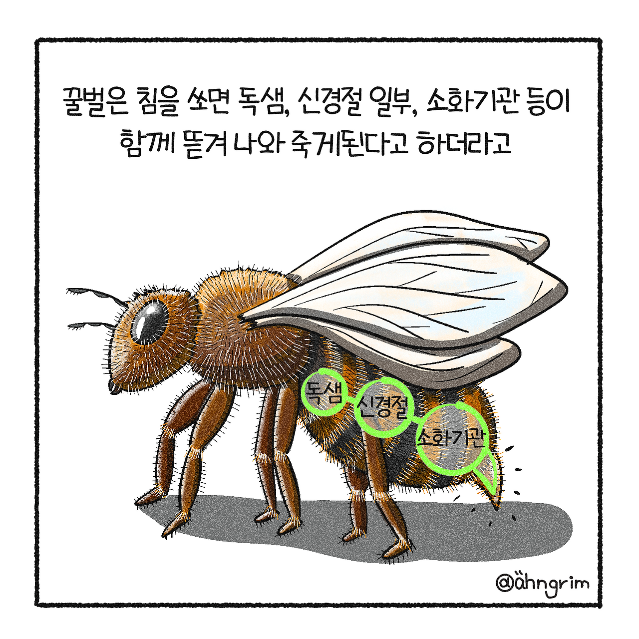 KakaoTalk_20250814_204953405_06.png
