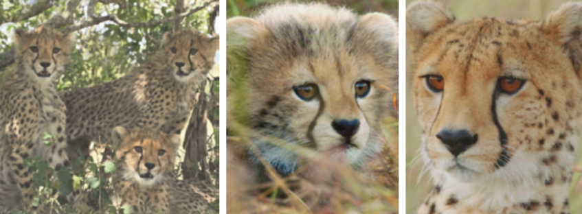 우리의 우주.png