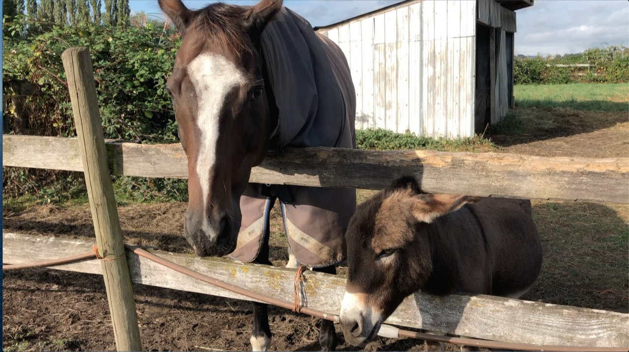 스크린샷 2021-10-02 오후 12.48.33.png