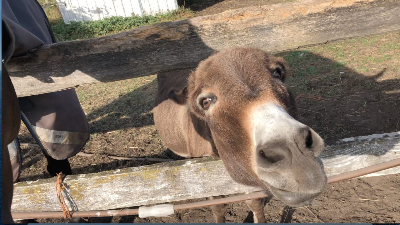 스크린샷 2021-10-02 오후 12.45.23.png