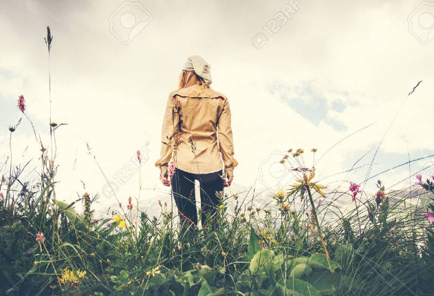 화면 캡처 2024-10-23 151404.png