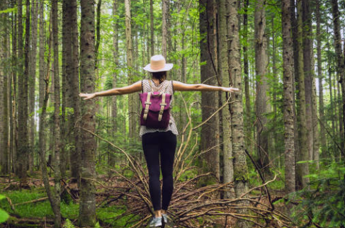 화면 캡처 2025-02-03 213211.png