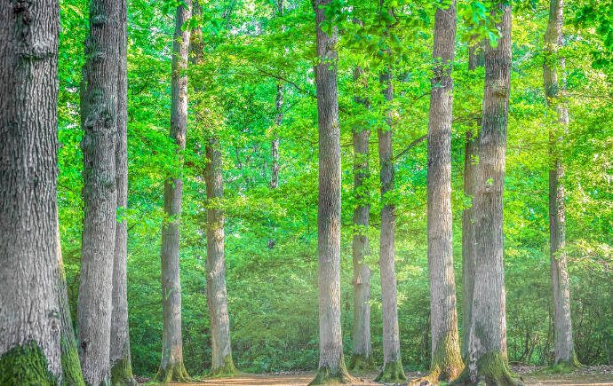 화면 캡처 2024-10-16 130448.png