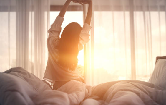 화면 캡처 2025-02-03 213211.png