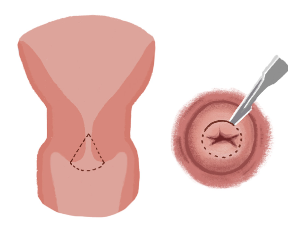 화면 캡처 2024-10-23 151404.png