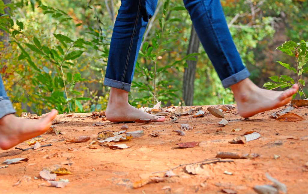 화면 캡처 2025-02-03 213211.png