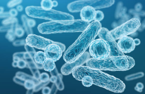 화면 캡처 2025-01-24 153317.png