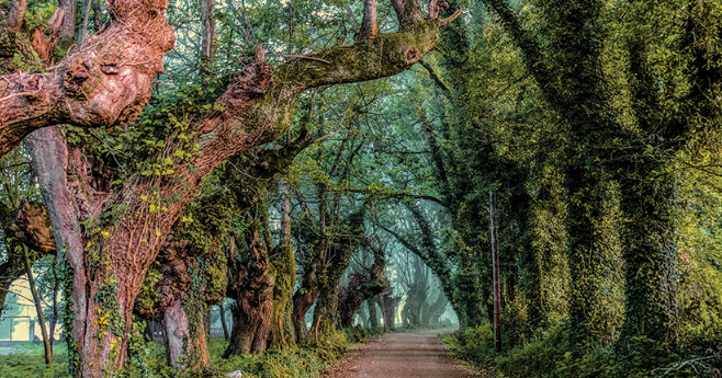 화면 캡처 2024-10-16 130448.png