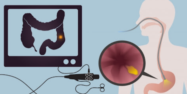 화면 캡처 2024-10-23 151404.png