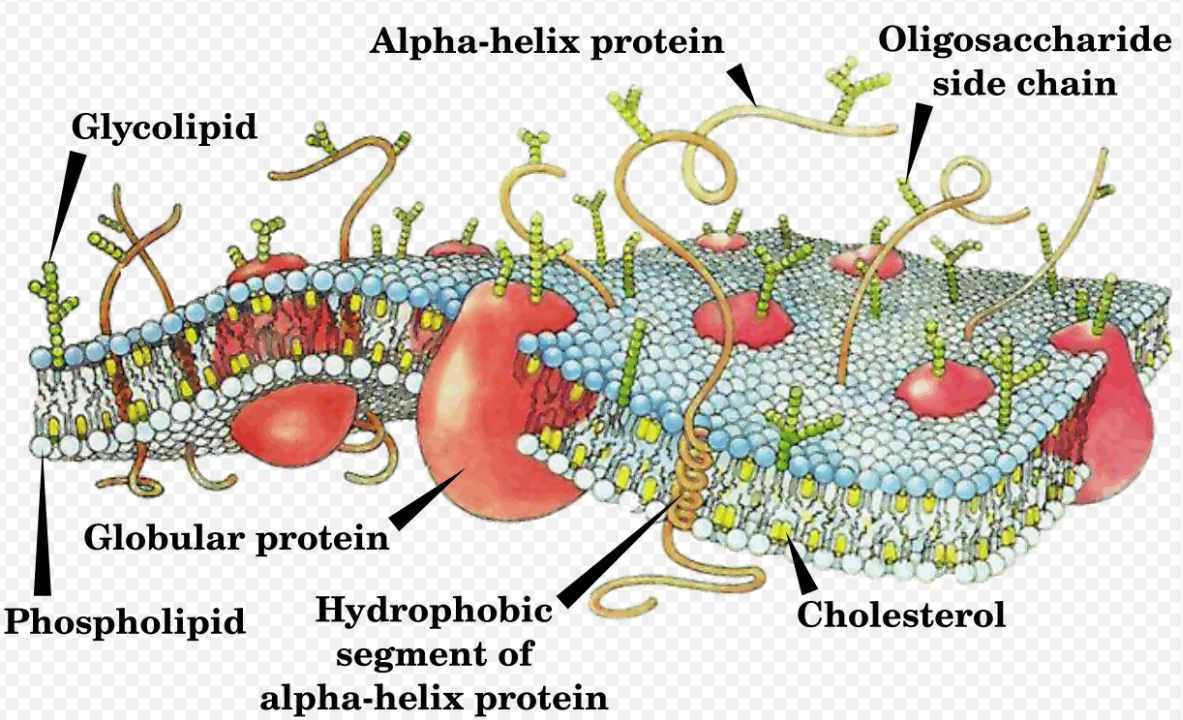 화면 캡처 2025-02-03 213211.png