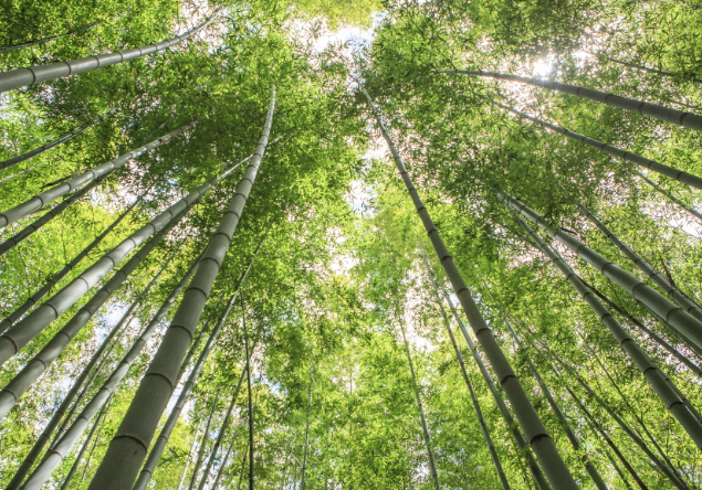 화면 캡처 2024-10-16 130448.png