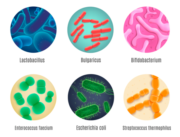 화면 캡처 2025-01-24 153317.png