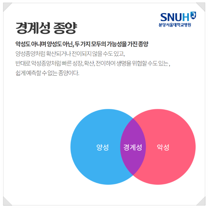 화면 캡처 2024-10-23 151404.png