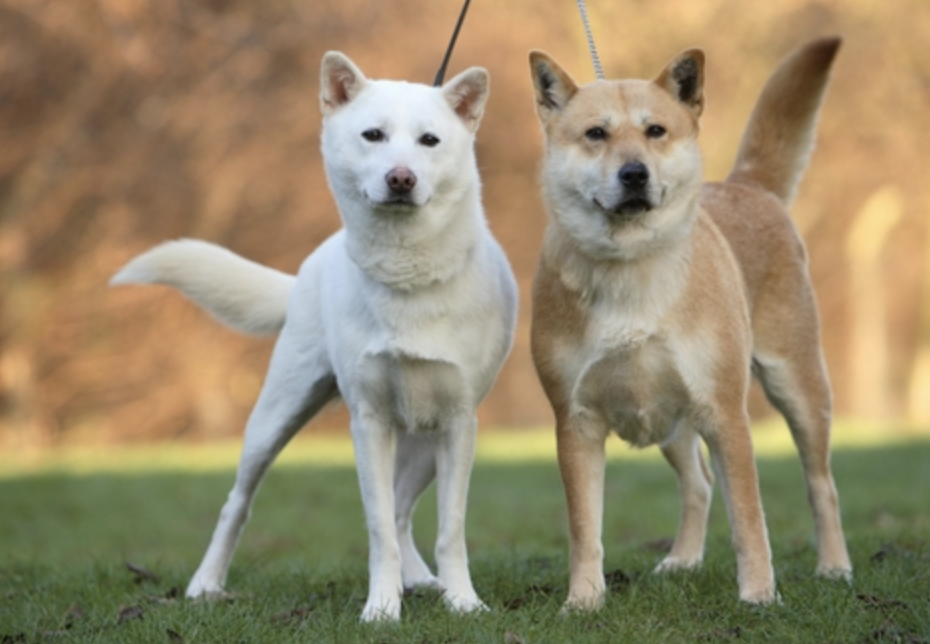 스크린샷 2025-02-09 오전 1.08.15.png