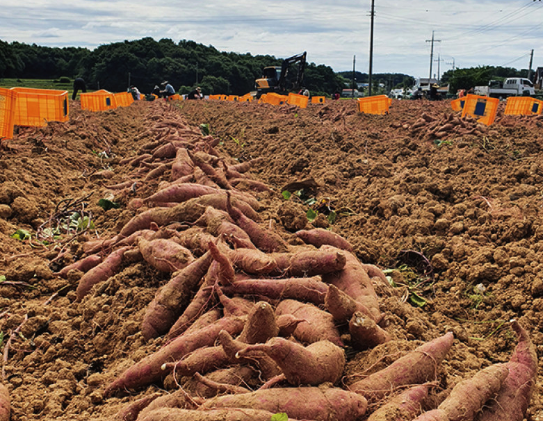 스크린샷 2022-02-23 오후 4.27.23.png