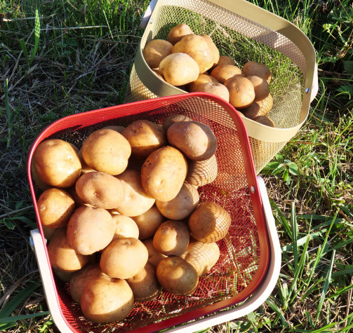 스크린샷 2022-02-23 오후 4.28.14.png