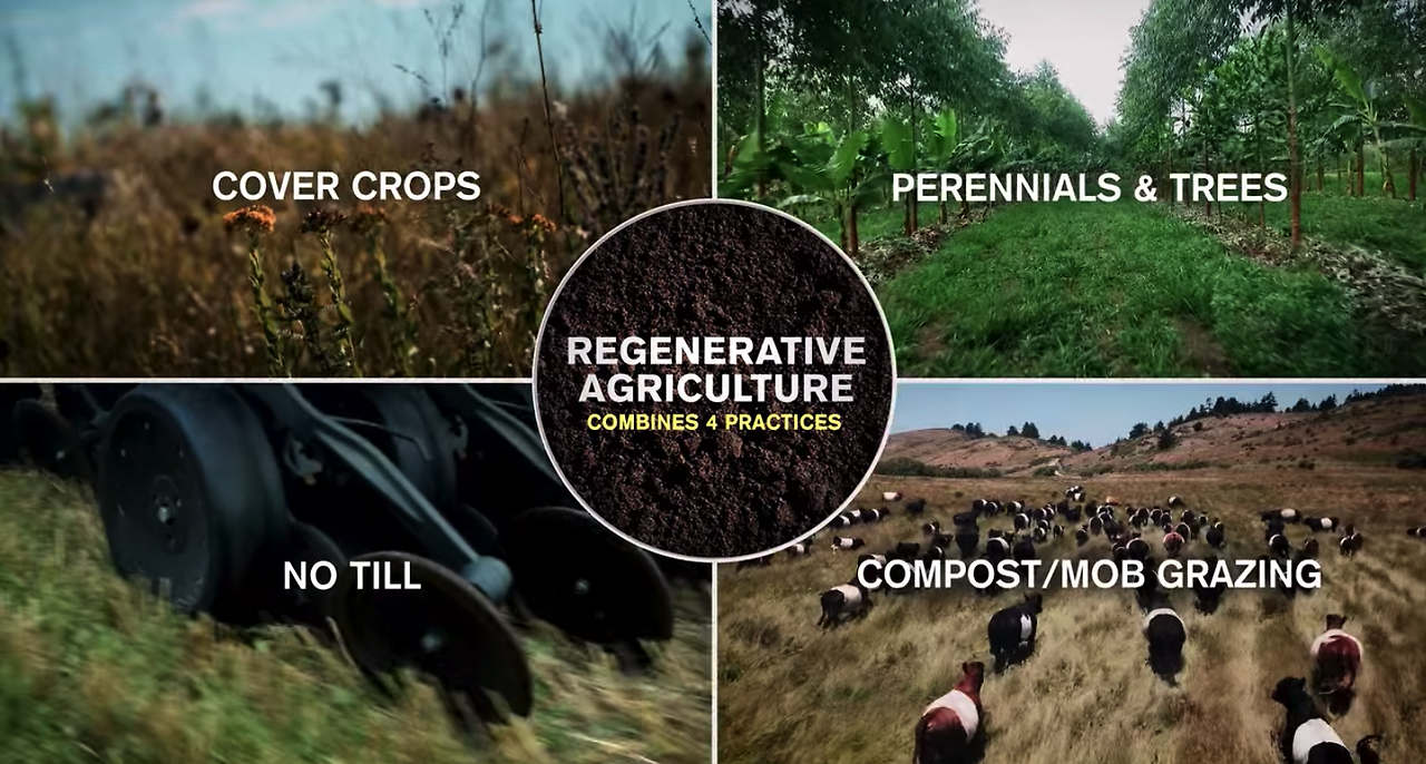 스크린샷 2022-01-20 오후 4.09.24.png