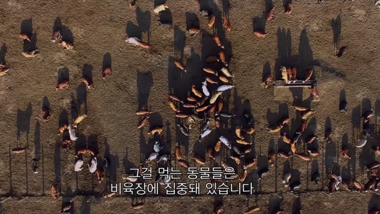 스크린샷 2022-01-19 오후 5.14.29.png