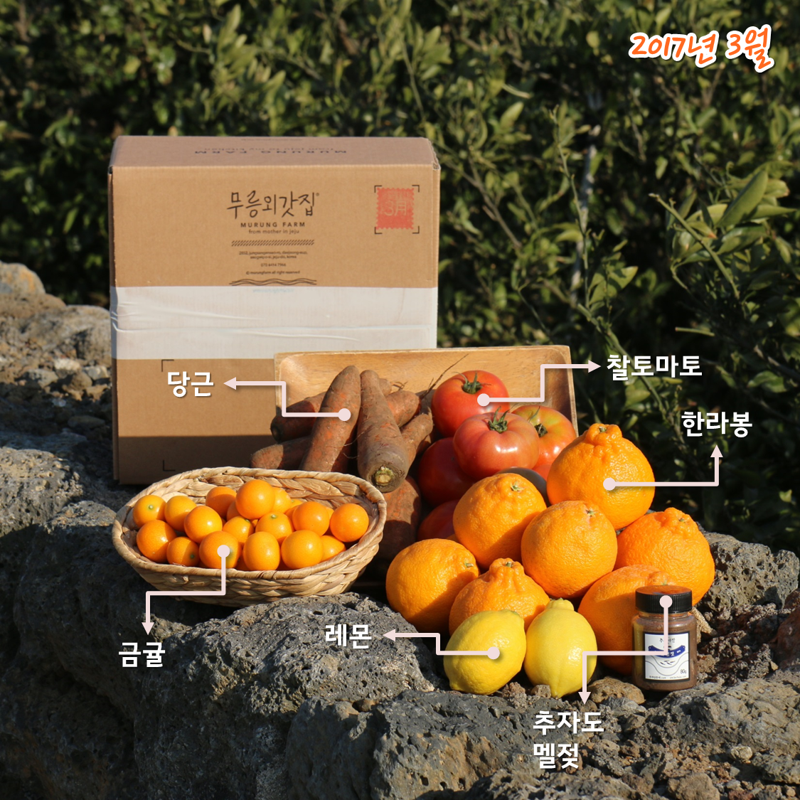 무릉외갓집 3월.png