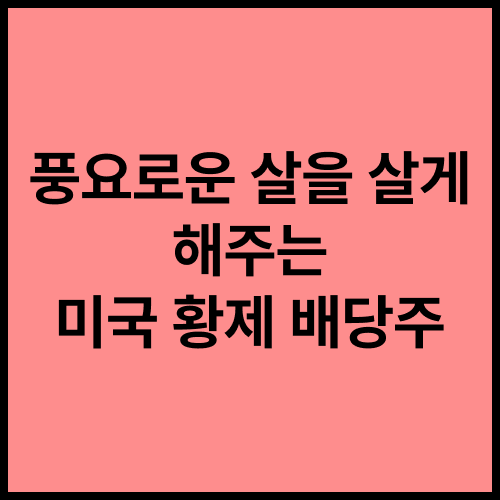 미국 배당주.png
