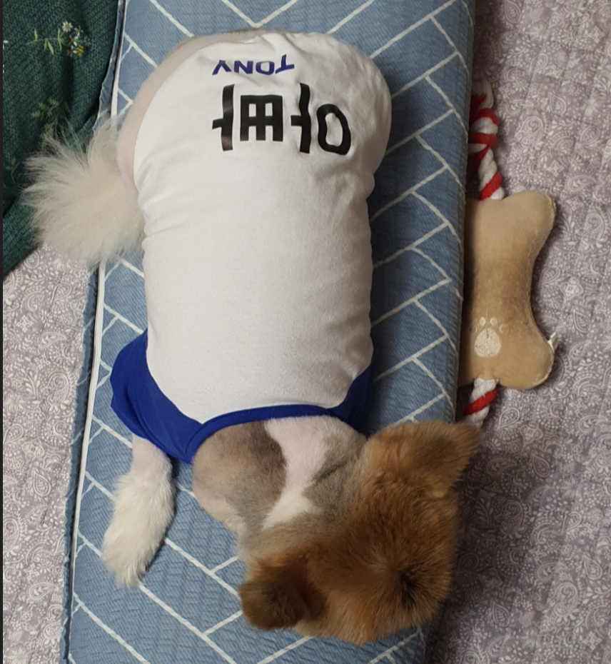 스크린샷 2024-02-14 오후 7.42.24.png