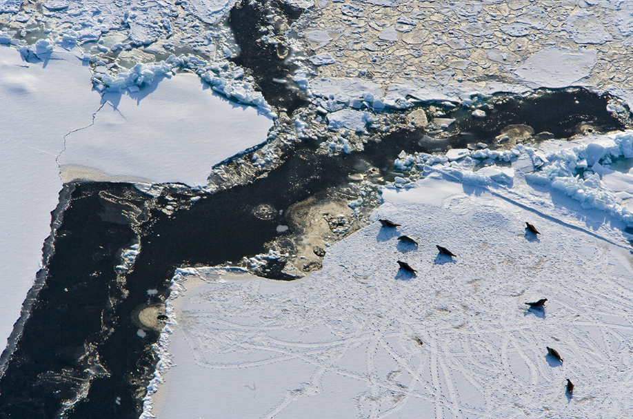 스크린샷 2024-02-23 203644.png