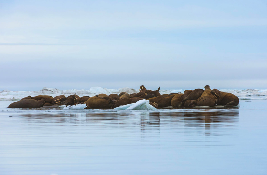 스크린샷 2024-02-23 203129.png