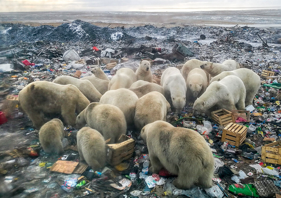 스크린샷 2024-02-23 203445.png