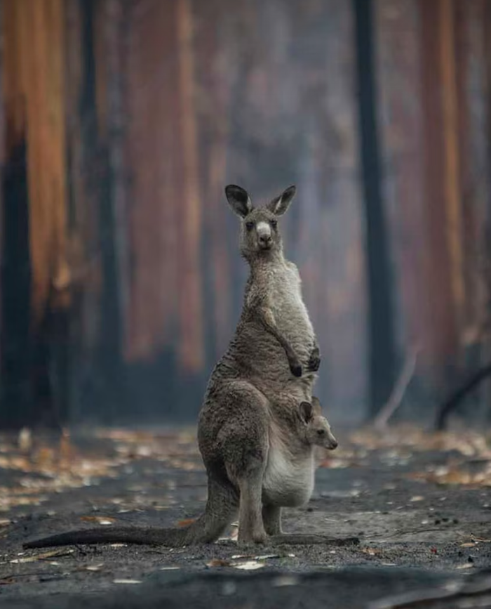 스크린샷 2024-02-23 204631.png