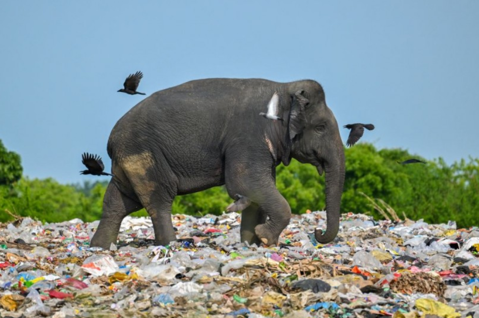 스크린샷 2024-02-23 205608.png