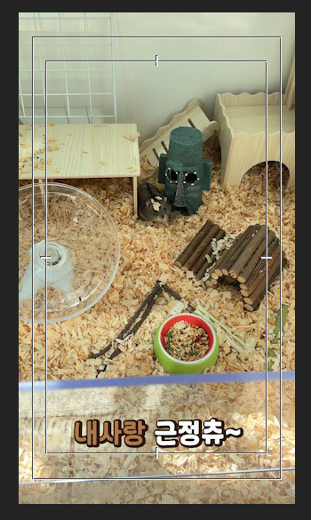 시퀀스 만들기.png