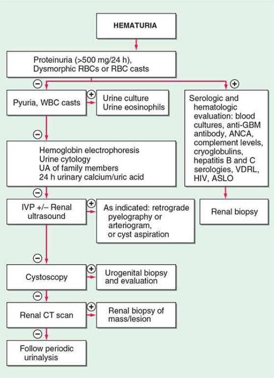 왜 한국 의사는 의학 교과서를 무시하는가.png