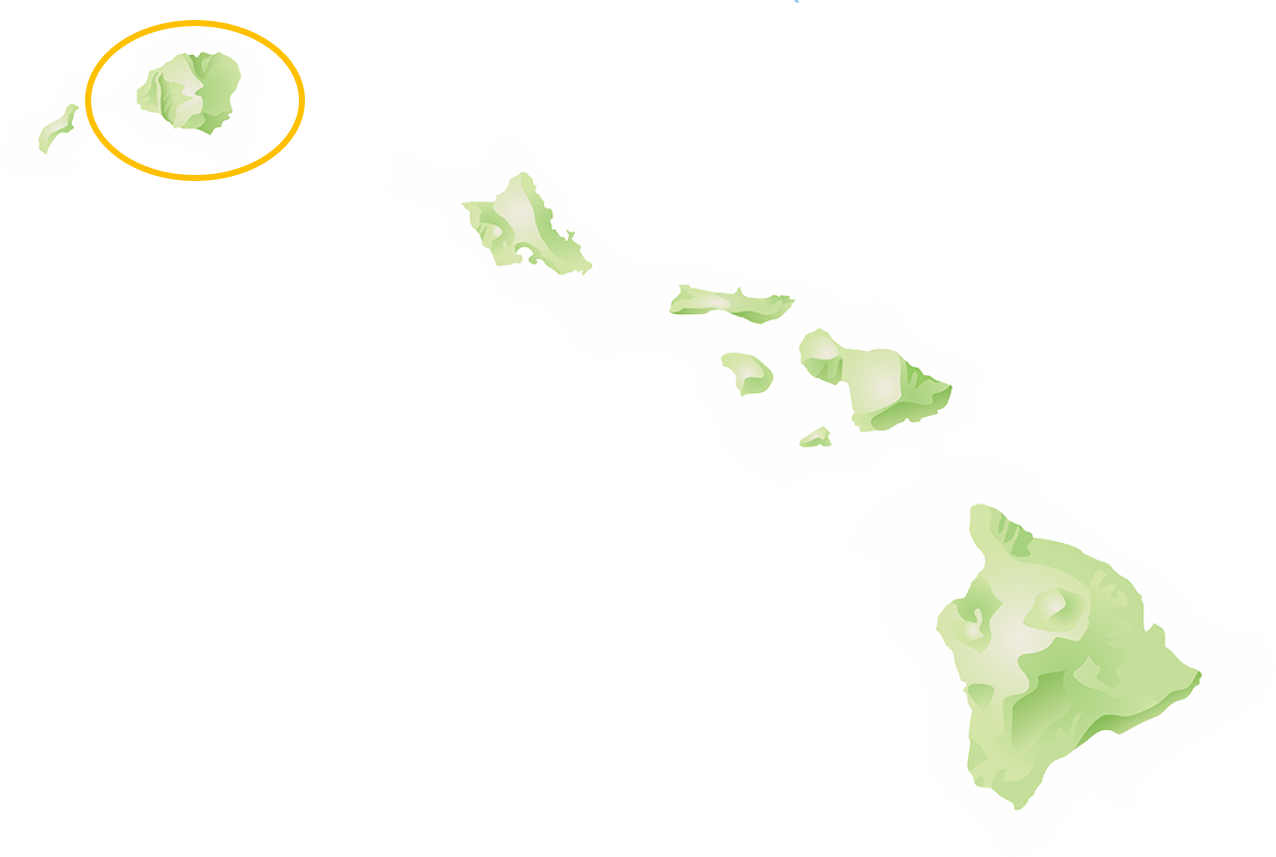 카우아이섬 위치.png