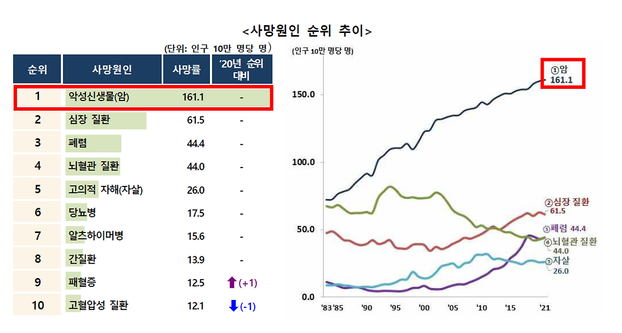 사망률 1위 암.png