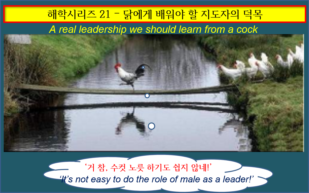 해학 21 지도자의 덕목.png