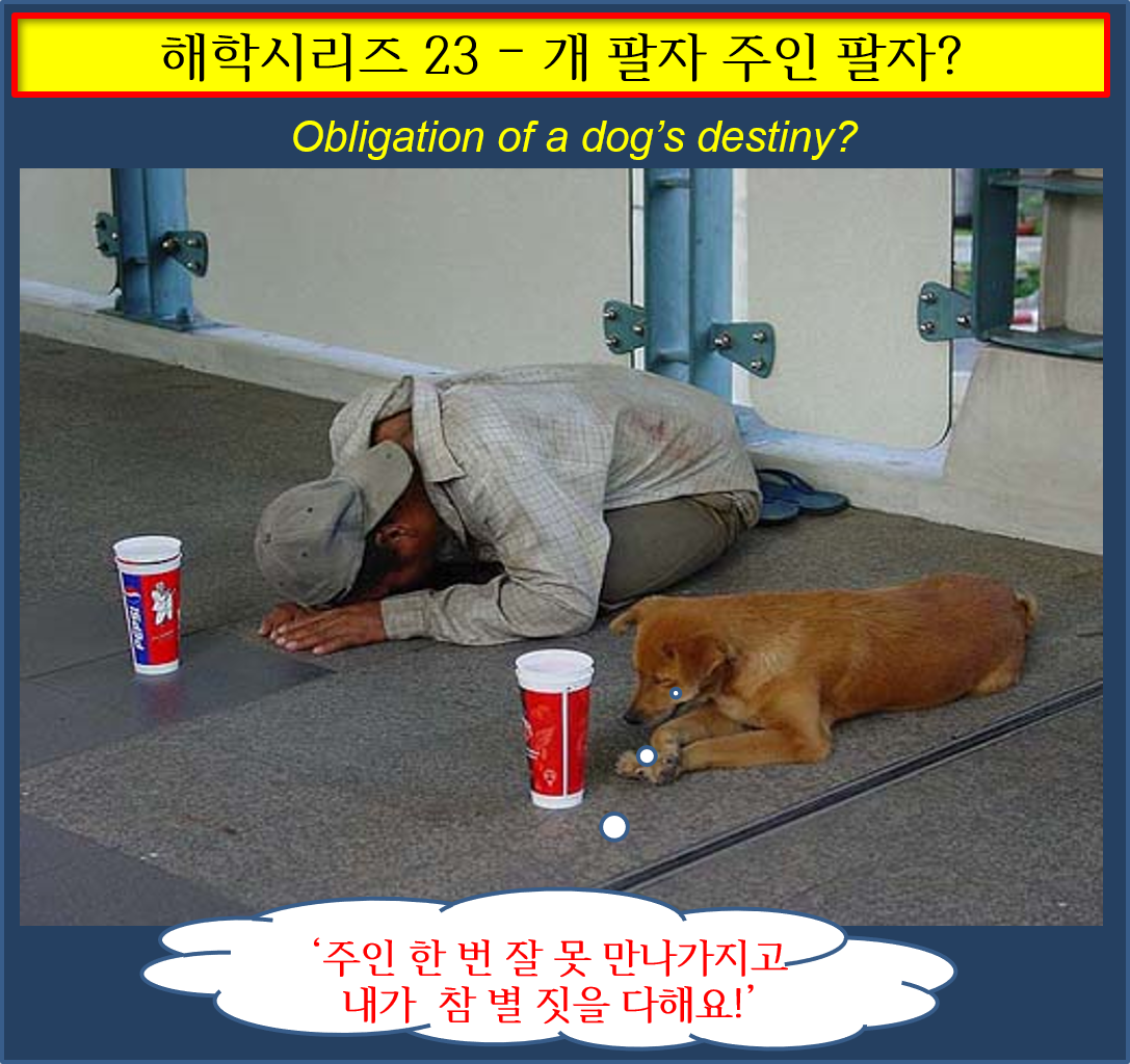 해학 23- 개팔자 주인팔자.png