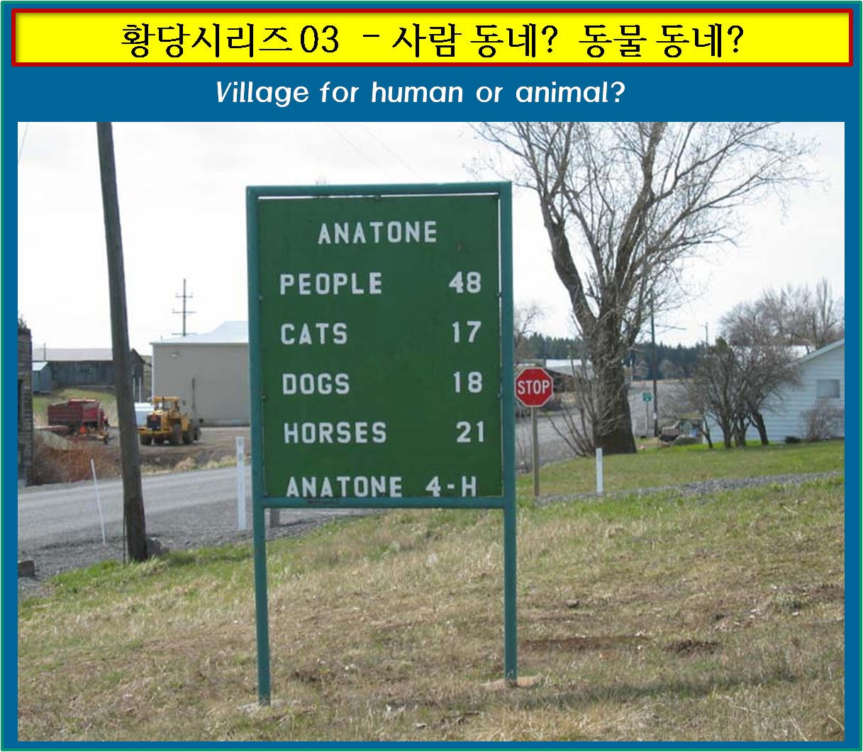 황당 03 사람 동네 동물 동네.png